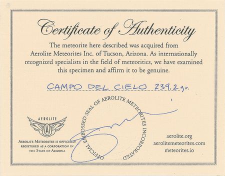 Lot #6008  Campo del Cielo Iron Meteorite - Image 3