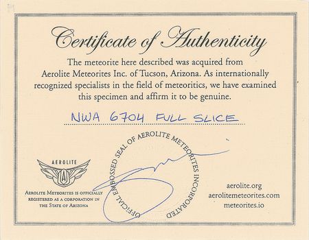 Lot #6019  Northwest Africa Stone Achondrite Meteorite Slice - Image 3