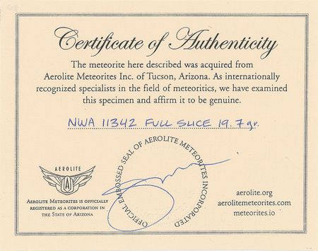 Lot #6020  Northwest Africa Stone Diogenite Meteorite Slice - Image 3