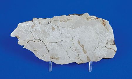 Lot #6022  Agoudal Iron Meteorite Slice - Image 1