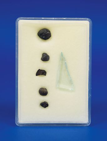 Lot #6023  Chelyabinsk Stone Meteorites - Image 1