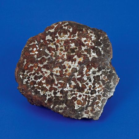 Lot #6003  Sericho Pallasite Meteorite Matched End Cuts - Image 2
