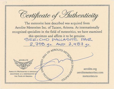 Lot #6003  Sericho Pallasite Meteorite Matched End Cuts - Image 6