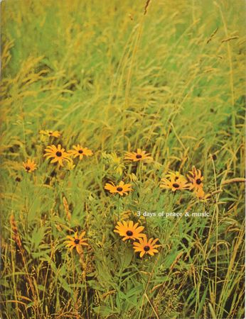 Lot #892 Woodstock Program and Ticket - Image 4