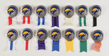 Lot #9636  Nagano 1998 Winter Olympics IOC Session Badges - Image 1