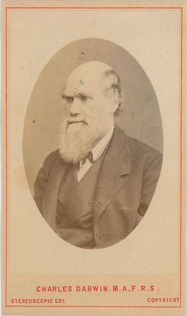 Lot #31 Charles Darwin Carte-De-Visite Photograph - Image 1