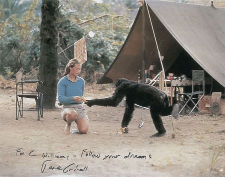 Lot #423 Jane Goodall Signed Photographs - Image 1
