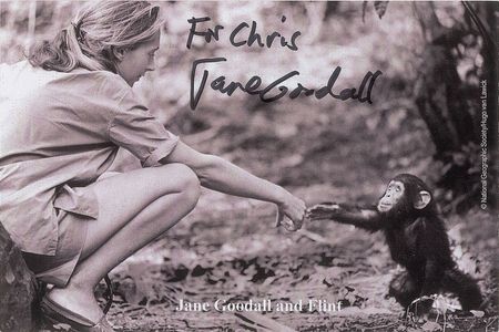 Lot #423 Jane Goodall Signed Photographs - Image 2