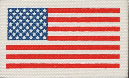 Lot #116 Dave Scott's Apollo 15 Surface-Flown Flag and License Plate Display: Museum-quality display featuring a flag and license plate carried on the lunar surface - Image 2