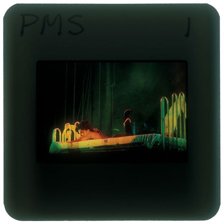 Lot #2704  Prince Group of (9) Slides - Image 3