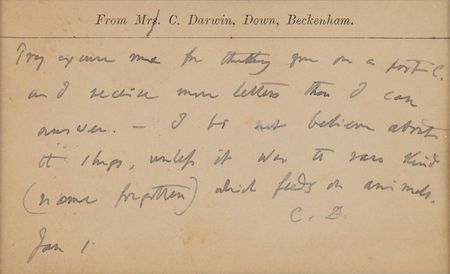 Lot #320 Charles Darwin: Darwin discusses a 