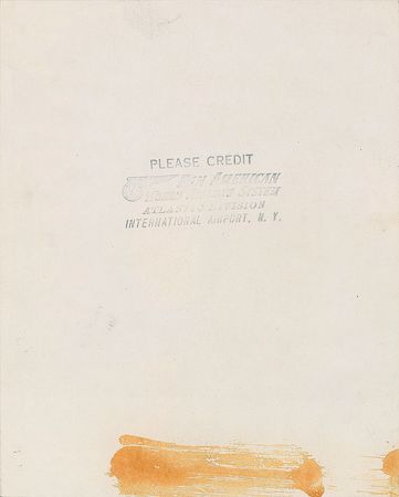 Lot #909 Marilyn Monroe and Arthur Miller Photograph - Image 2