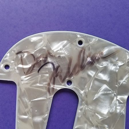 Lot #702 The Eagles: Bullet Strat signed by five Eagles - Image 4