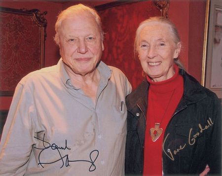 Lot #275 Jane Goodall and David Attenborough Group Lot - Image 1