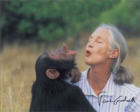 Lot #275 Jane Goodall and David Attenborough Group Lot - Image 3