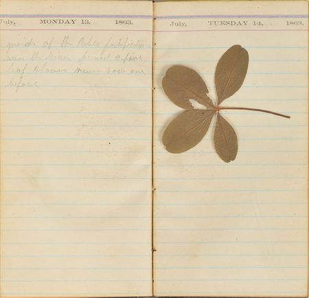 Lot #404 Gettysburg: A New Hampshire private's diary from 