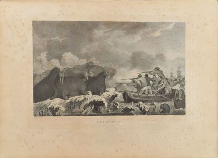 Lot #291 Atlas to Captain James Cook's Third Voyage: Folio of charts and engravings portraying Captain Cook's third voyage - Image 16