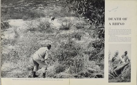 Lot #500 Ernest Hemingway: 