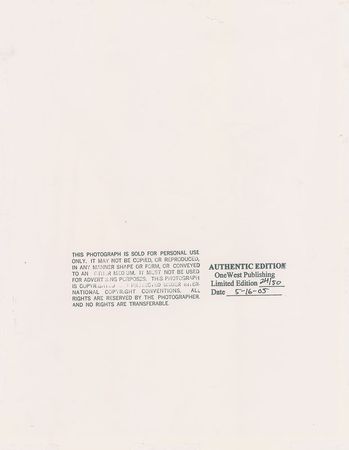 Lot #885 Marilyn Monroe: George Barris Photograph - Image 2