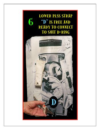 Lot #4329  Apollo 11 Upper and Lower PLSS Harness Stowage Position Evaluation Straps - Image 8