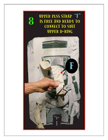 Lot #4329  Apollo 11 Upper and Lower PLSS Harness Stowage Position Evaluation Straps - Image 10