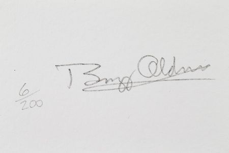 Lot #4331  Apollo 11: Aldrin and Collins Signed Prints - Image 3
