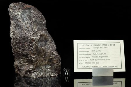 Lot #4009  Campo del Cielo Etched End Cut Meteorite - Image 2