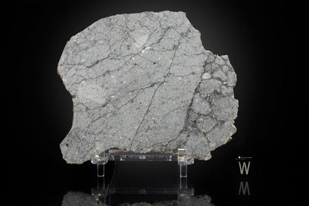 Lot #4001  NWA 8022 Lunar Meteorite Slice