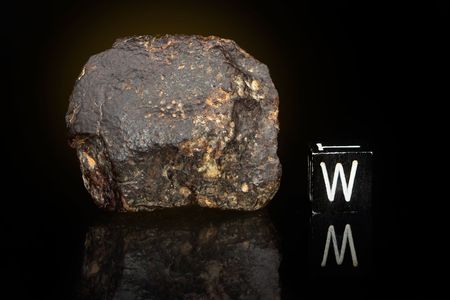 Lot #4025  NWA XXX Meteorite Individual and Thin Section  - Image 2