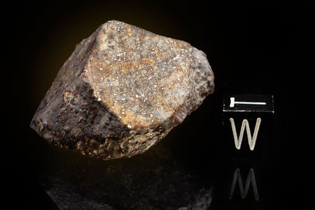 Lot #4025  NWA XXX Meteorite Individual and Thin Section  - Image 3