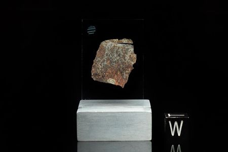 Lot #4025  NWA XXX Meteorite Individual and Thin Section  - Image 4