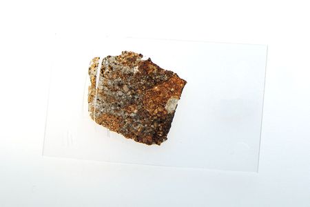 Lot #4025  NWA XXX Meteorite Individual and Thin Section  - Image 5