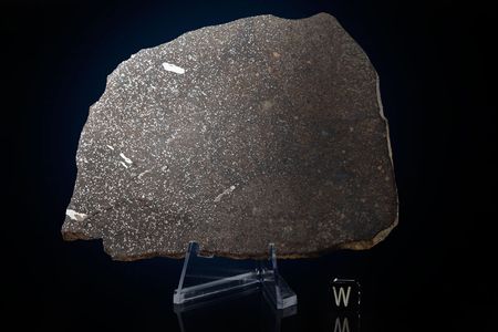 Lot #4011  Dar El Kahal Meteorite Slice - Image 1