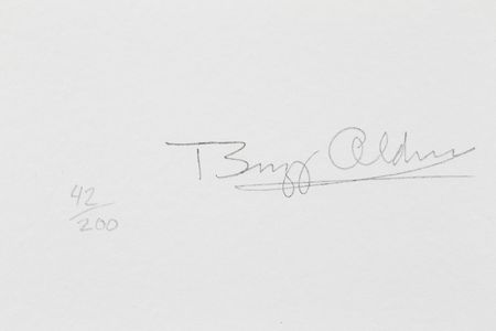 Lot #4315  Apollo 11 Lithograph Set - Image 7