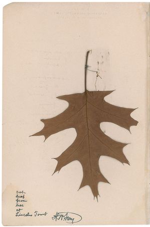 Lot #206 Abraham Lincoln Artifact - Image 2