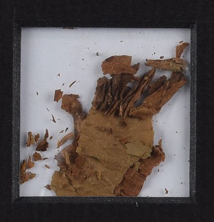 Lot #318 Winston Churchill Cigar Display - Image 2