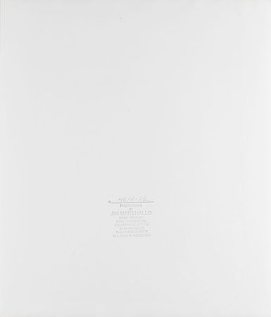 Lot #5134 Jim Morrison Photograph by Jim Marshall - Image 2