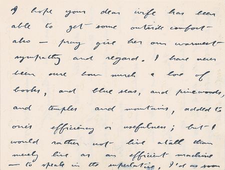 Lot #49 Theodore Roosevelt: 