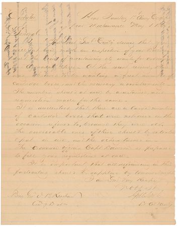 Lot #301 Moxley Sorrel Signed Document - Image 2