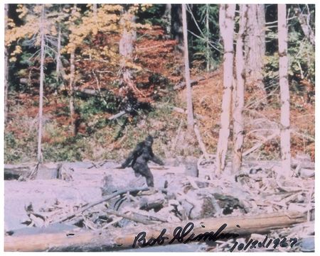 Lot #174 Bigfoot: Bob Gimlin Signed Photographs - Image 1