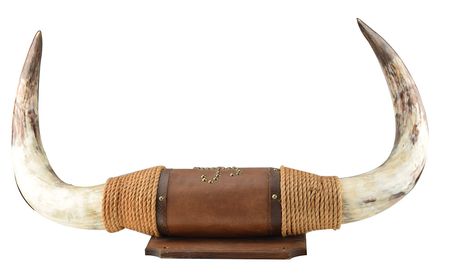 Lot #7058  Old Tucson Studios Mounted Texas Longhorns Prop - Image 2
