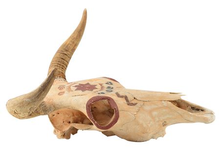 Lot #7060  Old Tucson Studios Painted Cattle Skull Prop - Image 3