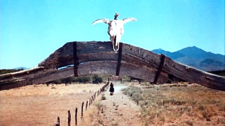 Lot #7060  Old Tucson Studios Painted Cattle Skull Prop - Image 6