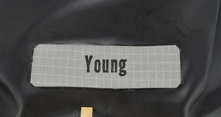 Lot #5135 John Young Apollo Space Suit Neck Dam - Image 3