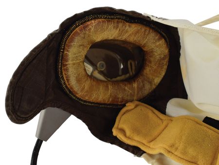 Lot #5129  Communication Carrier Assembly 'Snoopy' Cap - Image 4
