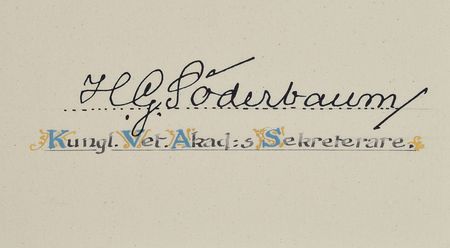 Lot #6001  1924 Nobel Prize for Physics Awarded to Manne Siegbahn - Image 12