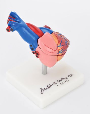 Lot #6083 Denton Cooley Signed Heart Model - Image 3