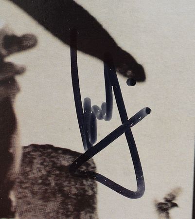 Lot #706 U2 Album - Image 5