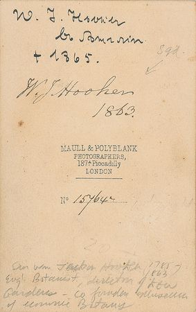 Lot #277 William Jackson Hooker: Rare, Signed CDV, The Director of the Royal Botanic Gardens - Image 1