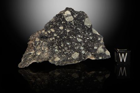 Lot #8009  NWA 11474 Lunar Meteorite End Cut